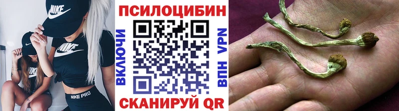 Галлюциногенные грибы GOLDEN TEACHER  Сурск 